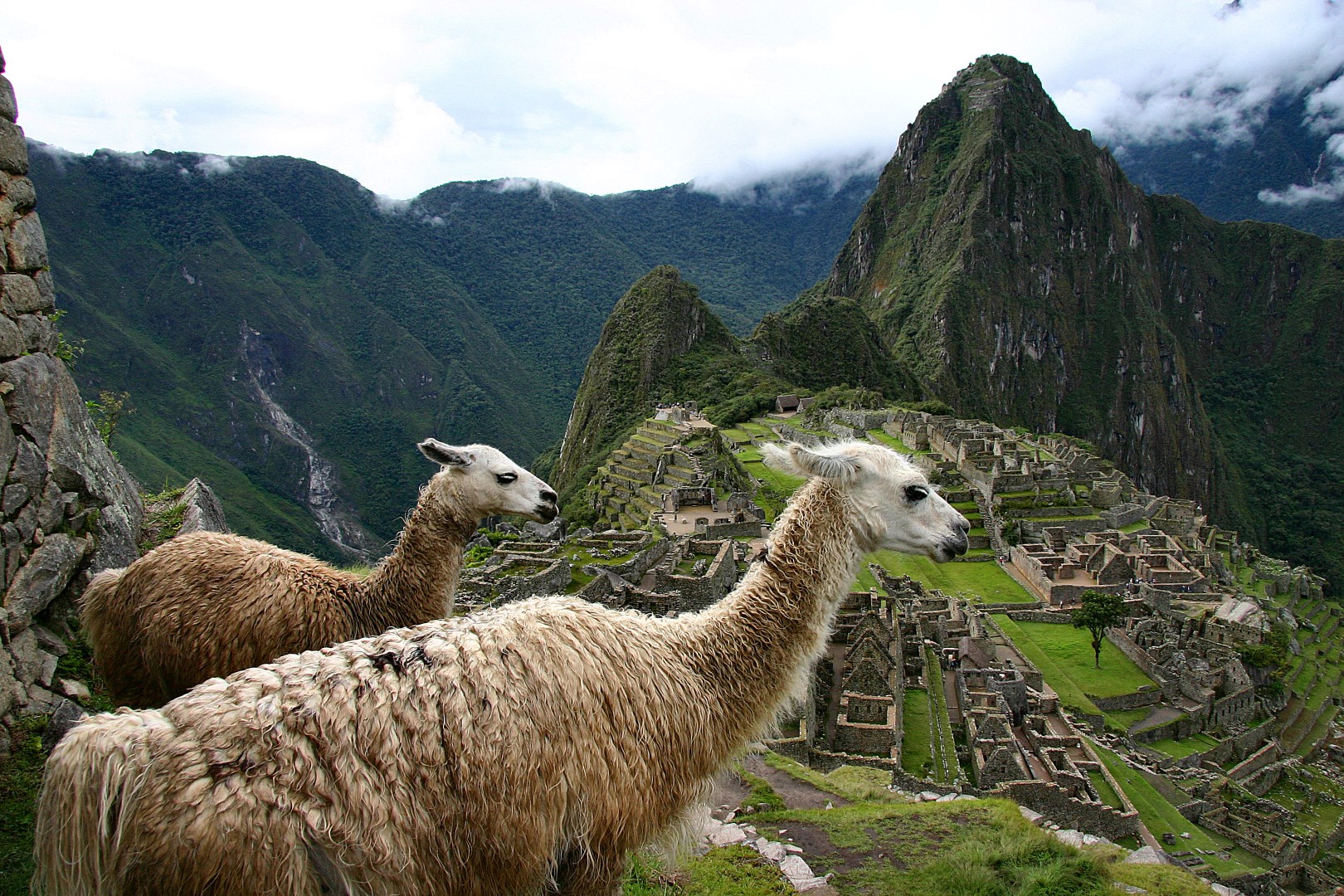 Перу-империята на инките, Еквадор и островите Галапагос
