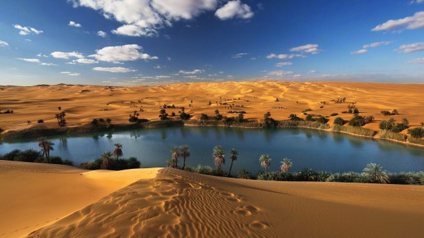Пустинен оазис