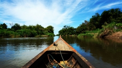 Mekong delta