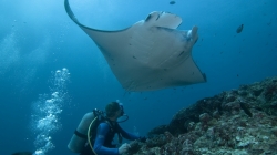 Similan Islands