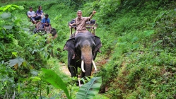 САФАРИ KHAO LAH 