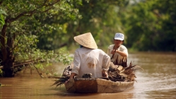 Mekong delta