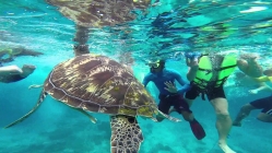 Similan Islands