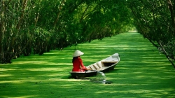 Mekong delta