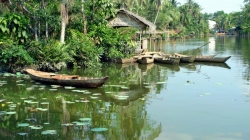 Mekong delta